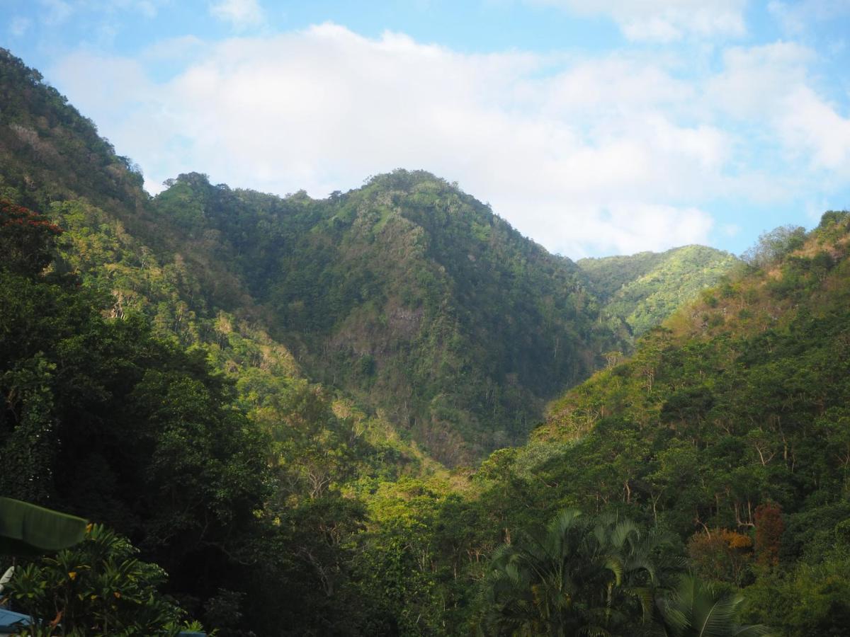 Fare Noanoa Paea Exterior foto